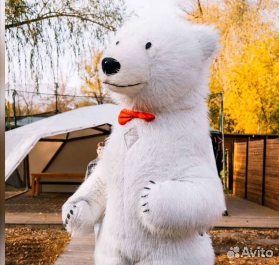 Белый мишка поздравляет, Чебурашка