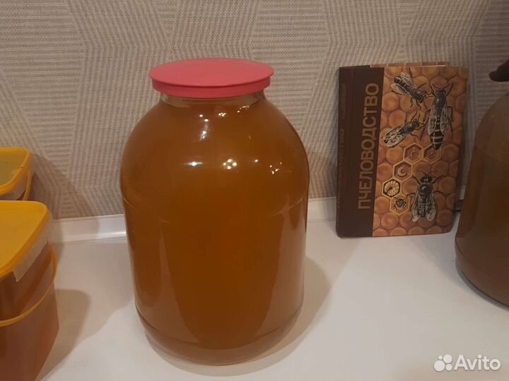 Мед 2023 г. (с доставкой по Тюмени)