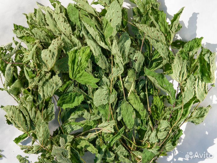 Лист таволги (лабазника), 50г