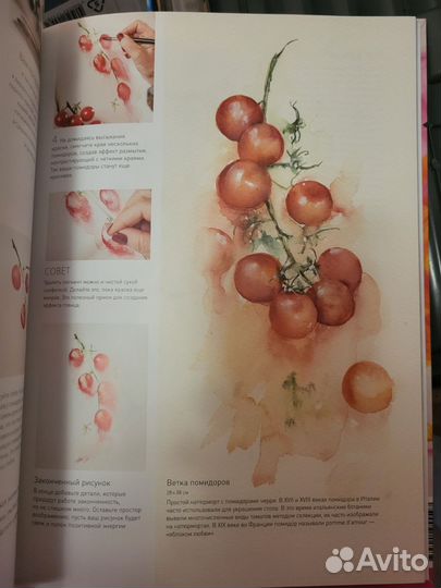 Акварелью практики Джин Хейнс