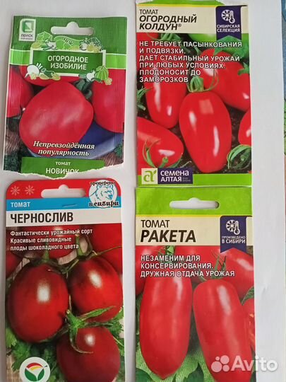 Рассада помидор