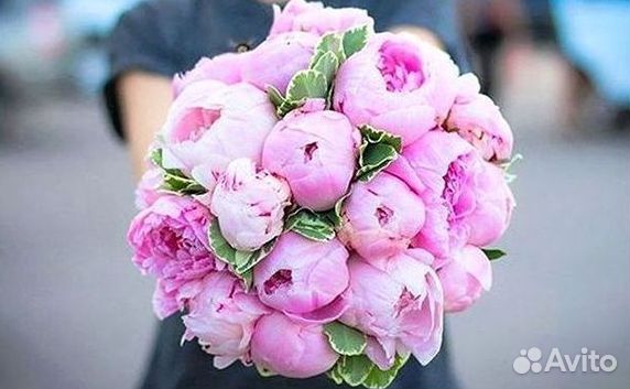 Пионы Букет пионов