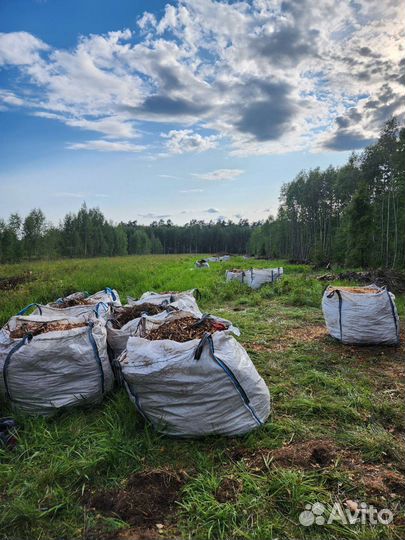 Древесная щепа