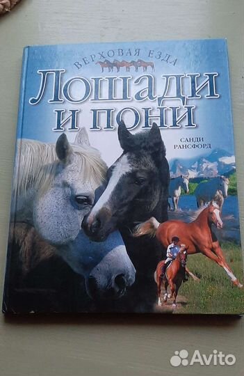 Книга Санди Рансфорд Лошади и пони