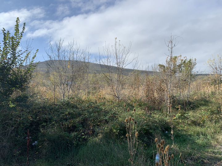 Участок 7,45 га (ИЖС)