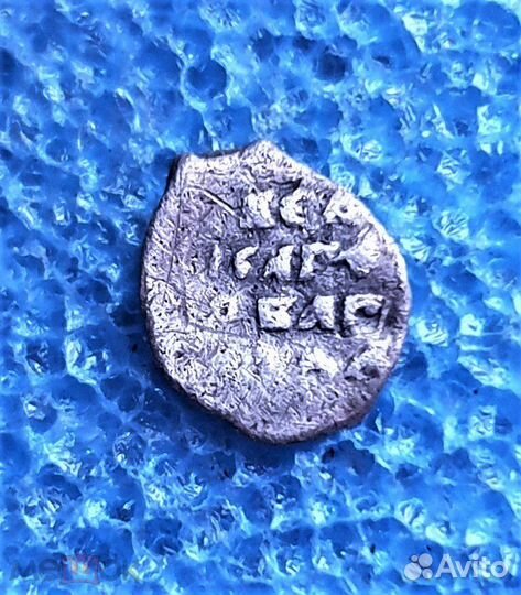 Чешуя полушка новгородская, Иван IV Грозный