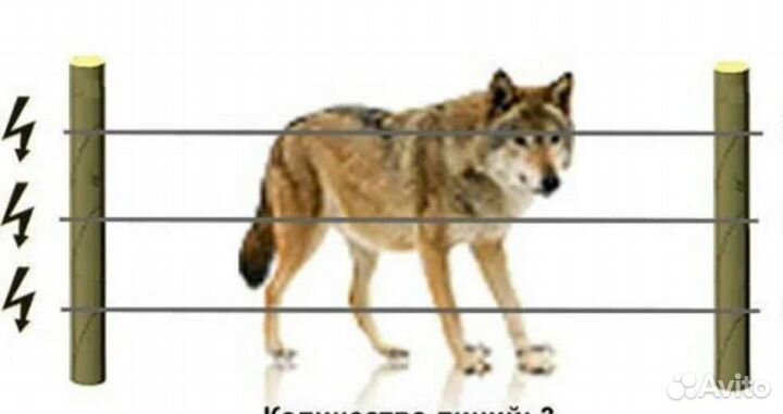 Электроизгородь электропастух от волков шакалов