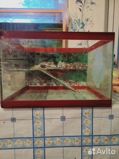 Аквариум для черепахи