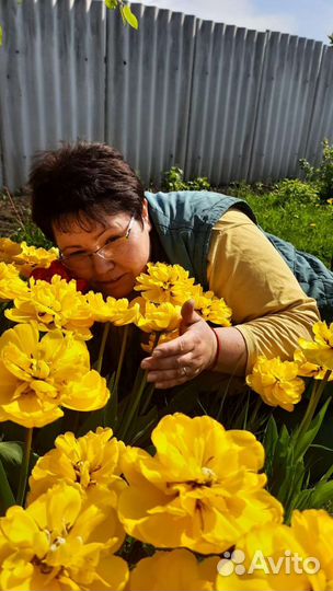 Тюльпаны Пионовидные