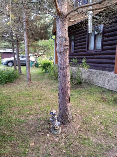 Дача 110 м² на участке 18 сот.