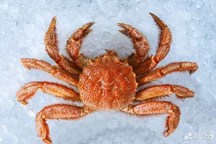 Клешни краба и другие морепродукты