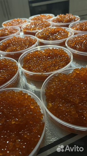 Красная икра горбуши