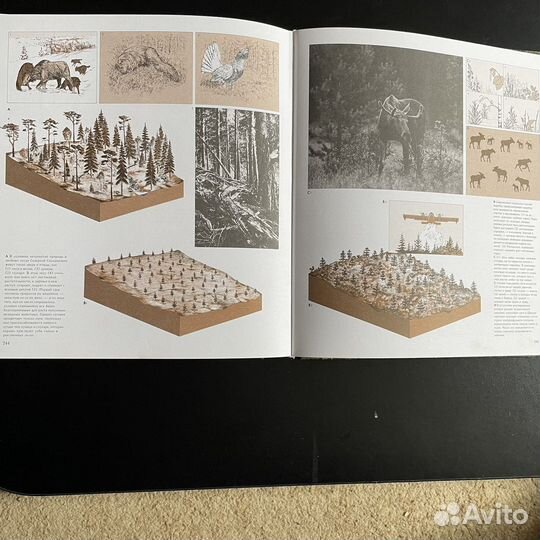 Охота энциклопедия. Книга об охоте, для охотников