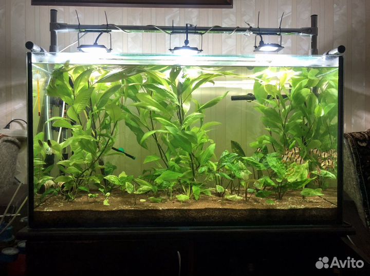 Аквариум