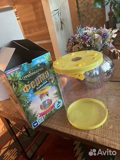 Бабочкарий / Ферма для бабочек