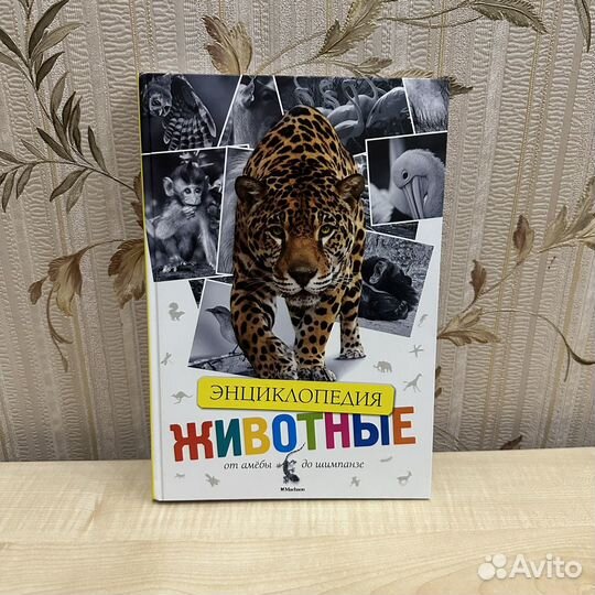 Книга Энциклопедия Животные