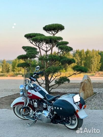Harley-Davidson FLS TN 103 softail deluxe