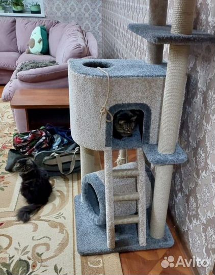 Кошкин дом