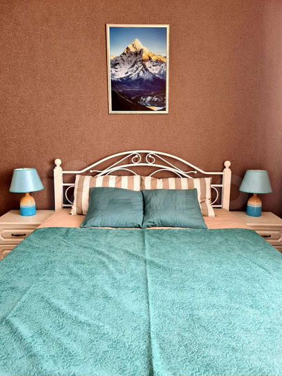 1-к. квартира, 43 м², 11/11 эт.