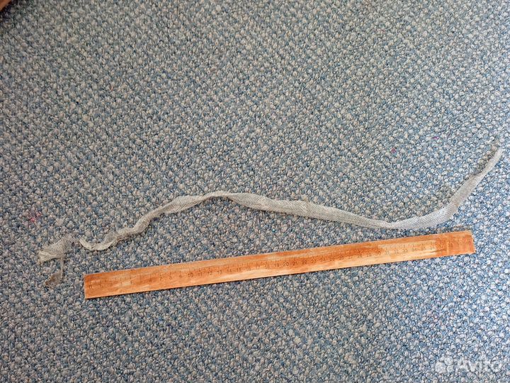 Змеиный выползок