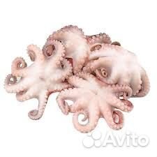 Осьминог очищенный 40/60