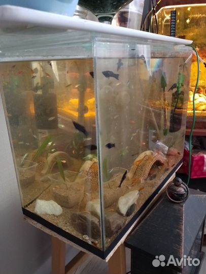 Аквариумы 35 л и 50 л