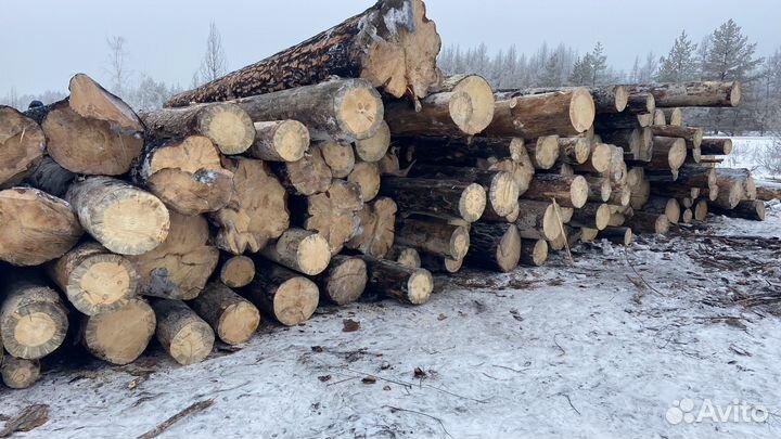 Оператор харвестера форвардера