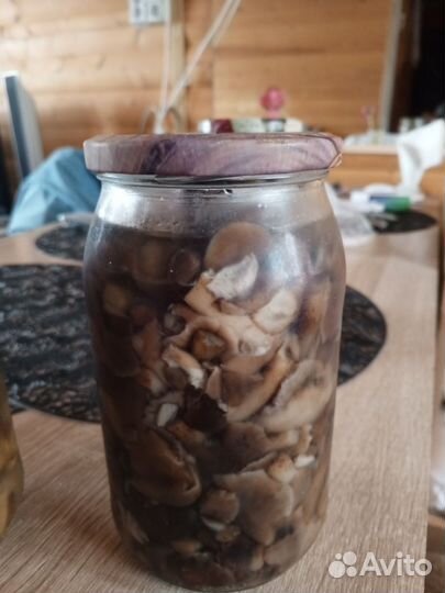 Грибы маринованновые