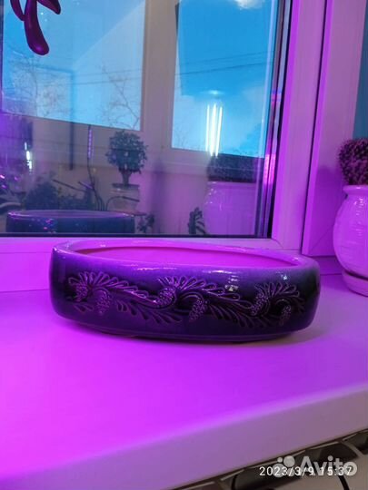 Плошка для Бонсай