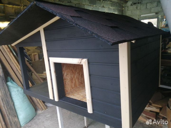 Собачья будка