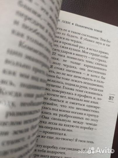 Книга Марк Леви Похититель теней
