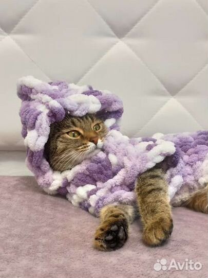 Кофточка на кошек и собак