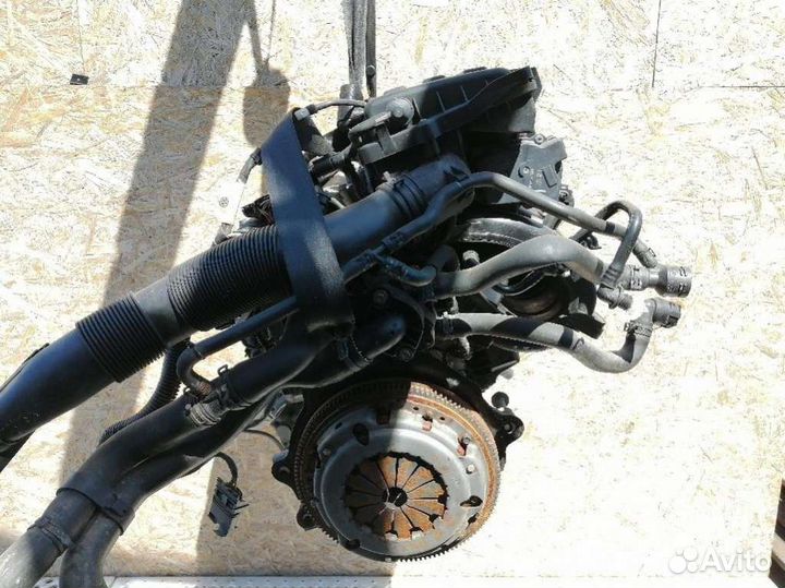 Двигатель Volkswagen Golf 5 (2003 - 2009) 1.4 BUD