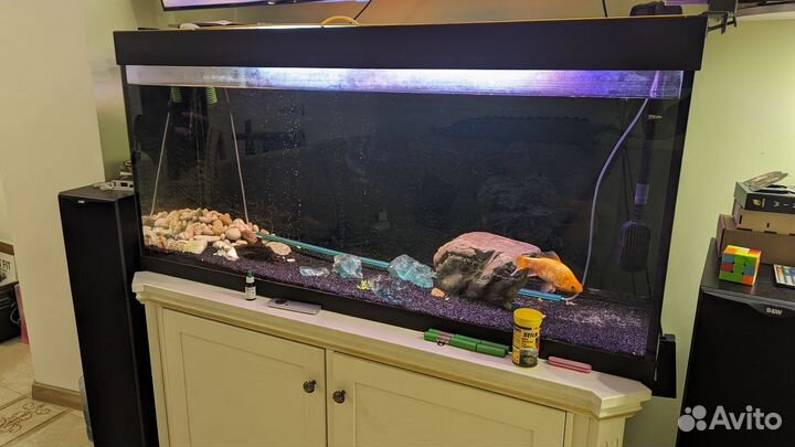 Аквариум