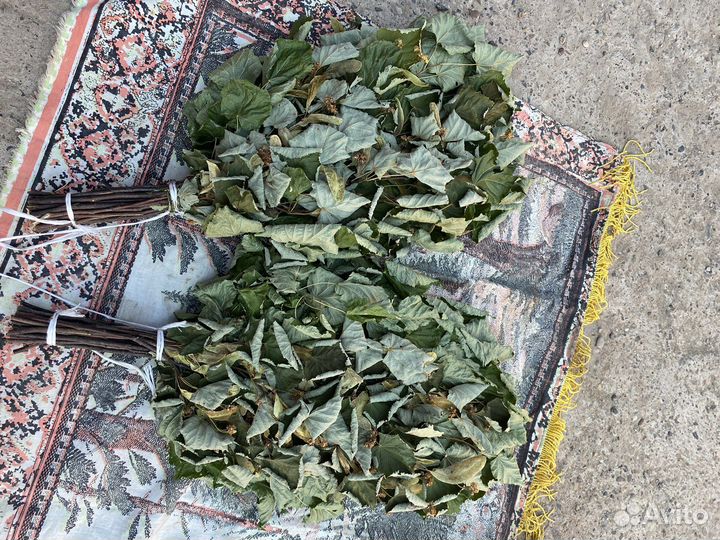 Веники для бани