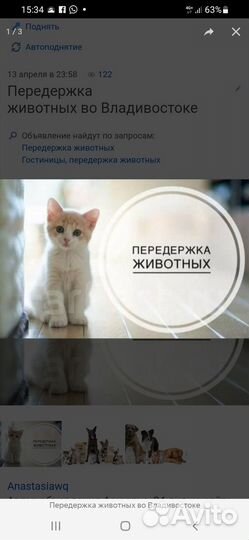 Передержка