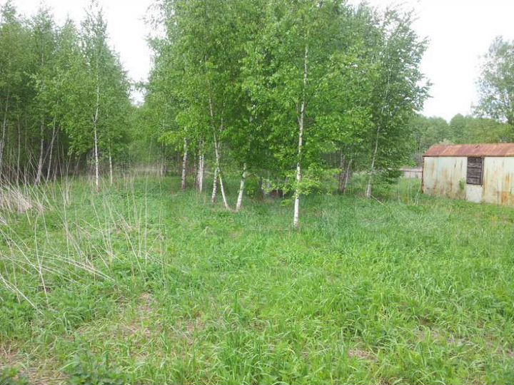 Участок 19,7 сот. (ИЖС)