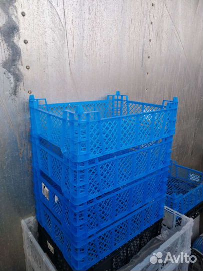 Продам ящики под овощи