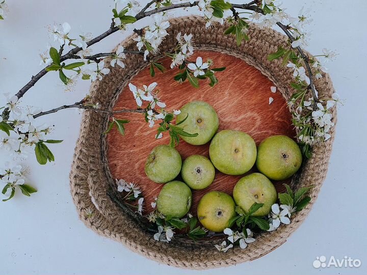 Поднос вязаный