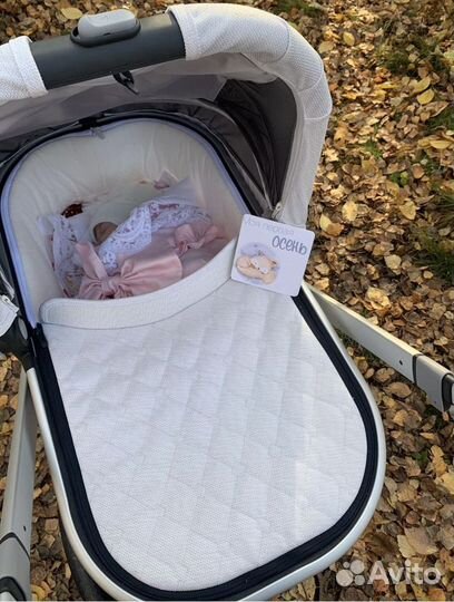 Коляска uppababy vista