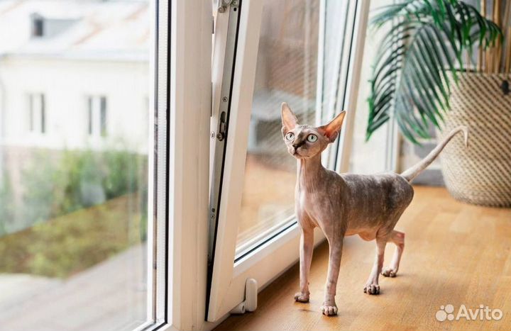 Окна быстро