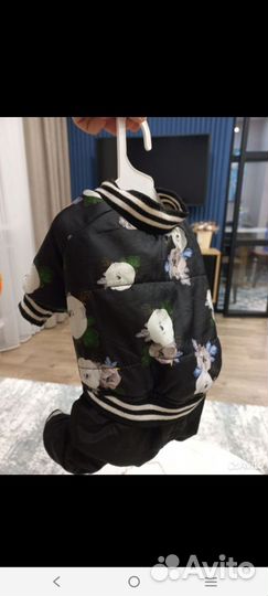 Одежда для собак