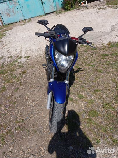 Stels flex 250