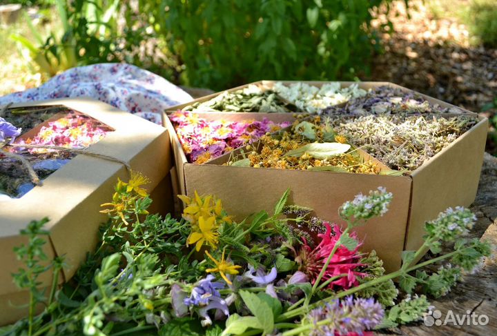 Травяной чай ассорти