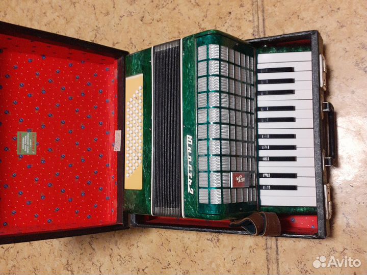 Аккордеон Юность 2