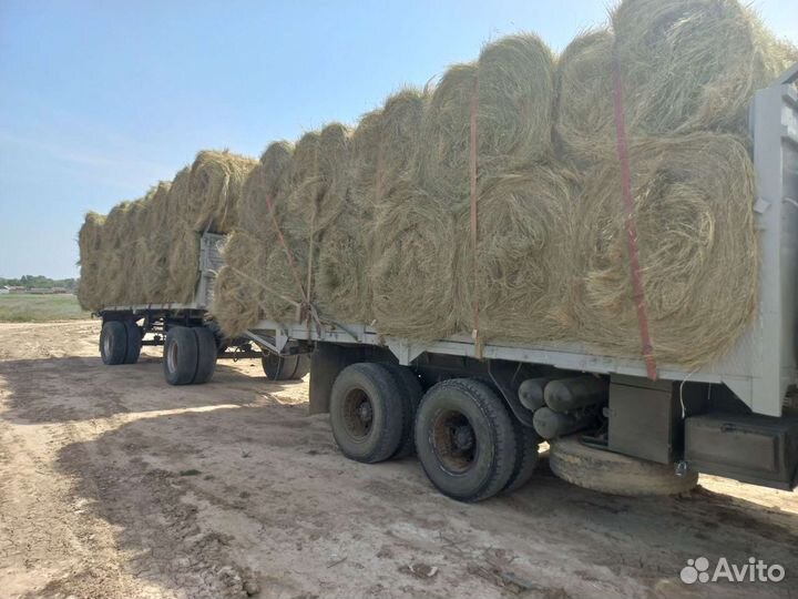 Сено с доставкой степное,луговое