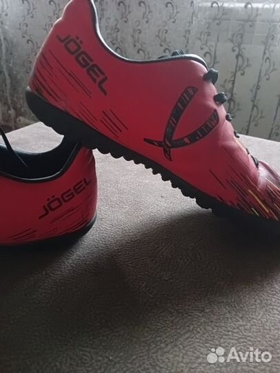 Сороконожки