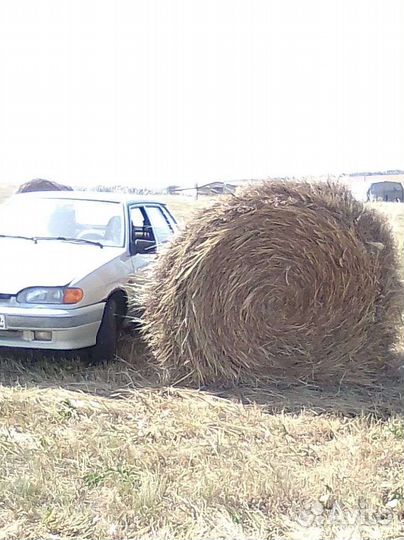 Продам сено в рулонах