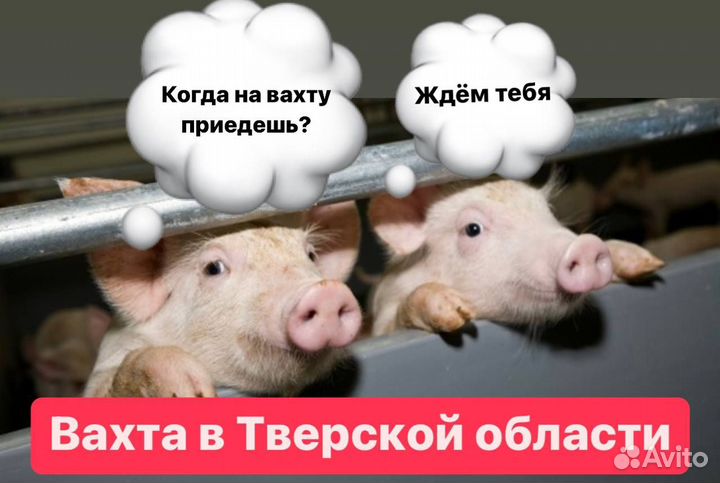 Бесплатный автобус. Работа в Твери. Разнорабочие