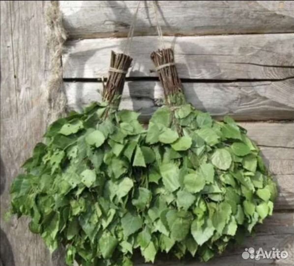 Веники березовые